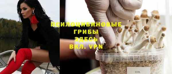 крисы Аркадак