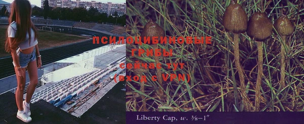 меф Алексин
