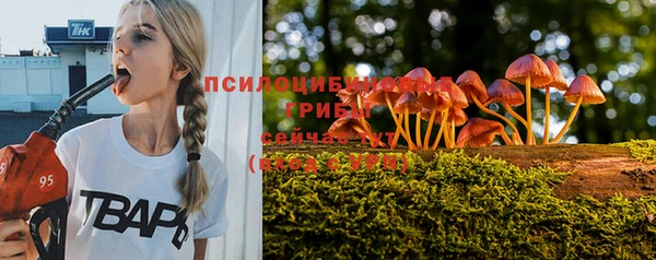 твердый Алзамай