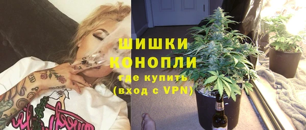 дживик Шадринск