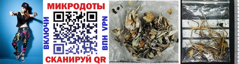 где купить наркоту  Троицк  Псилоцибиновые грибы Magic Shrooms 